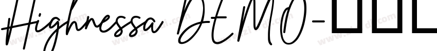 Highnessa DEMO字体转换